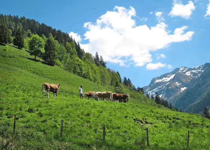 Waltl By Interhome *